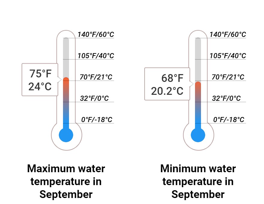 Average Sea temperature